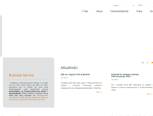 Tablet Screenshot of dbservice.com.pl
